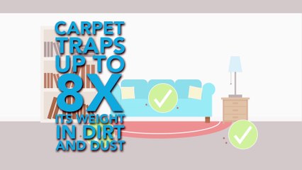 Chem-Dry Anti-Bakteriyel Halı Yıkama Alerjenleri yok eder