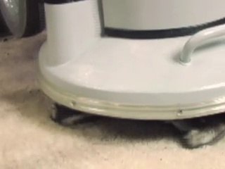 halı yıkama  Chem-Dry Sıcak Karbonlama