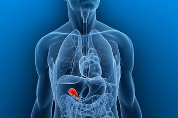 Common diseases associated with the Gallbladder: Cholecystitis, Cholangitis, Cholelithiasis, Gallstones