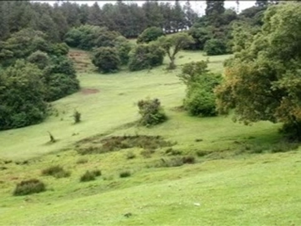 Ooty trip