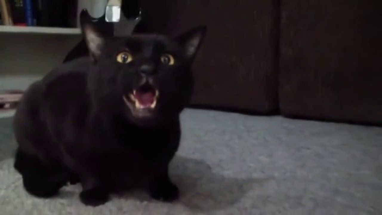 777