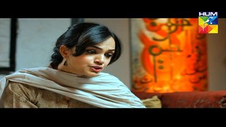 Pakeeza Episode 14 Full HD HUM TV Drama 12 May 2016