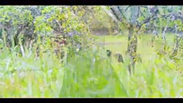 Aronstrong “Le temps“ Clip Officiel