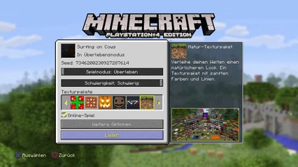 Minecraft: PlayStation®4 Edition_20160513153212