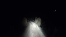 Ces automobilistes équipés d’une Dash Cam ont fait une rencontre inattendue !