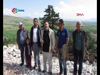 Afyonkarahisar'da ağaç kıyımı