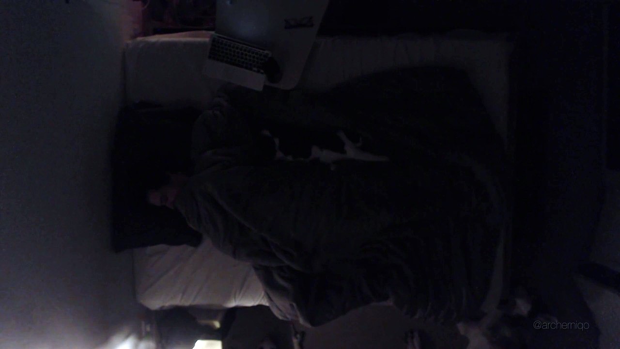 Pas facile de partager son lit avec son chien