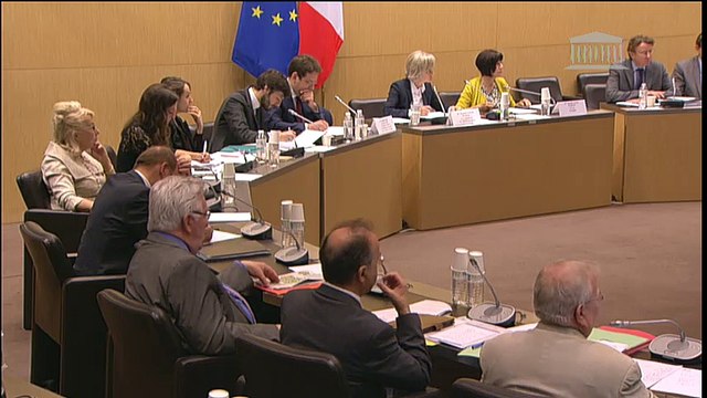 Seybah Dagoma - Audition de M. Matthias Fekl, Secrétaire d'Etat chargé du commerce extérieur