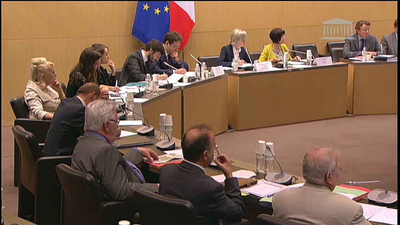 Seybah Dagoma - Audition de M. Matthias Fekl, Secrétaire d'Etat chargé du commerce extérieur