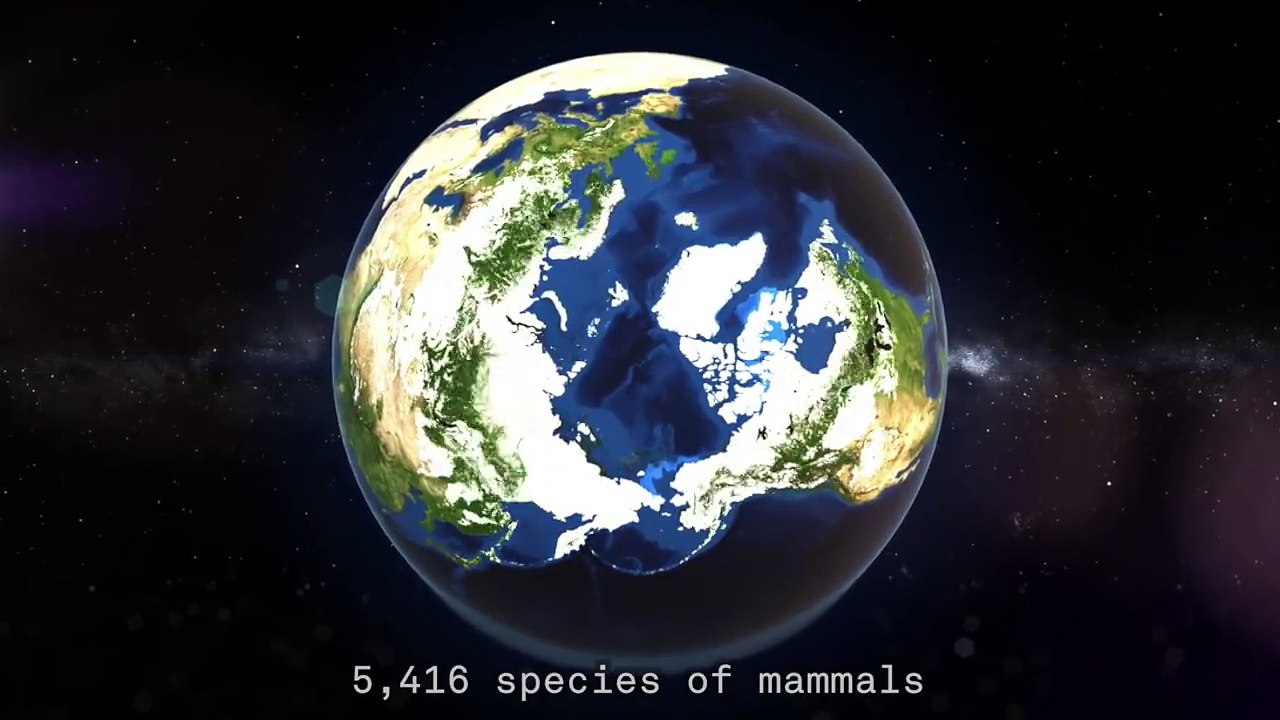 Regardez la Terre respirer