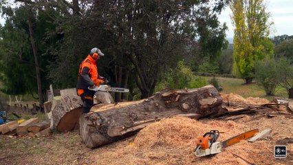La sculpture d'un démon de DOOM... à la tronçonneuse !