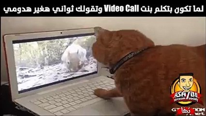 لما تكون بتكلم بنت و تقولك ثواني هغير هدومي ههههههههه