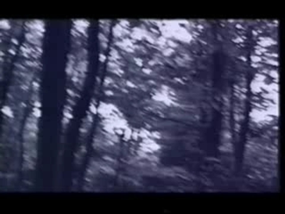 X　Voiceless Screaming