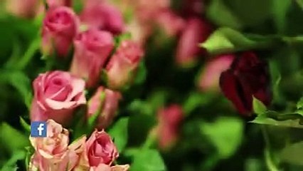 Celebrity Interview เนย Neko Jump