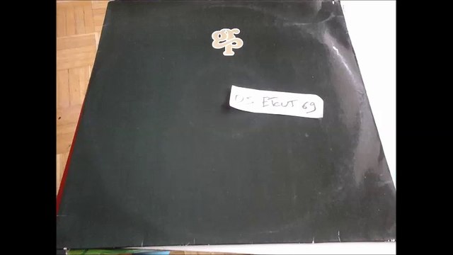 JAY HOGGARD -BROWN LADY WITH THE GOLDEN BRAIDS(RIP ETCUT)ARISTA grp REC 79