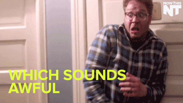 Don’t Freak Out About Small Amounts of Human and Rat DNA in Some Burgers