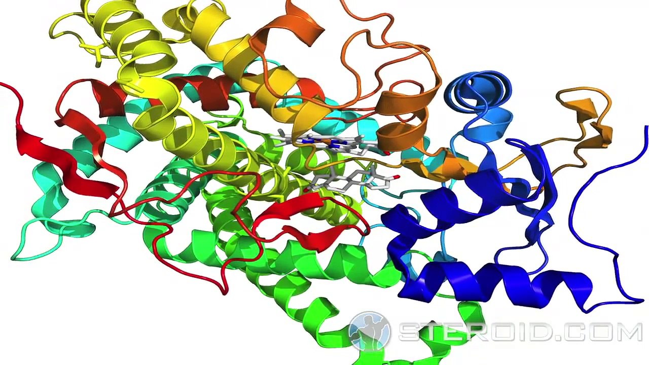 Arimidex (Anastrozole)