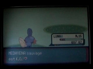 Evolution Gobou Shiney