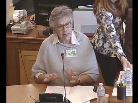 Roma - Raccolta capitali e valorizzazione Beni culturali, audizione esperti (12.05.16)