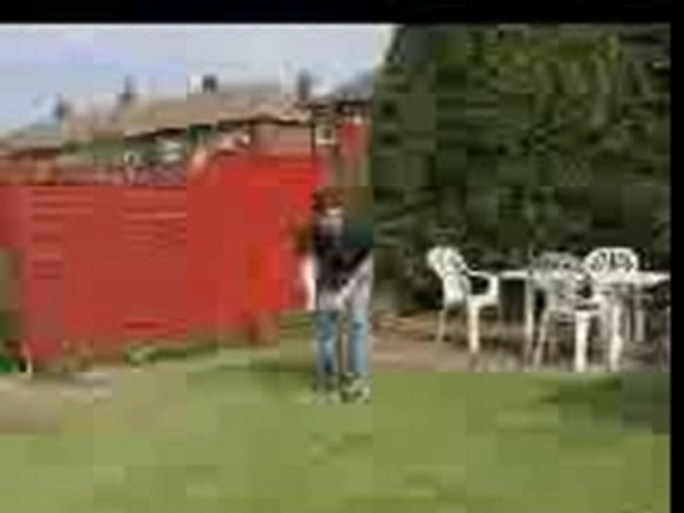 Ball(1)