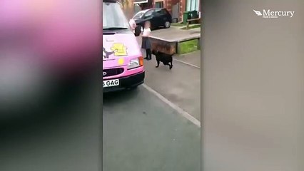 Dog Goes To Ice Cream Van