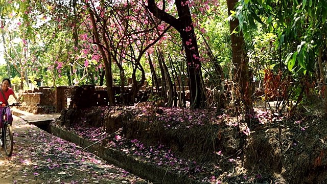 Yoga Center In India | Teacher Training Courses (TTC) in Goa & Dharamsala