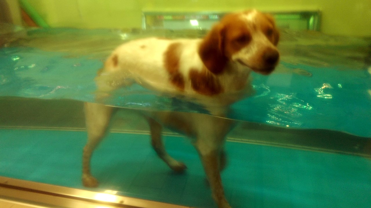 hydro 3.10