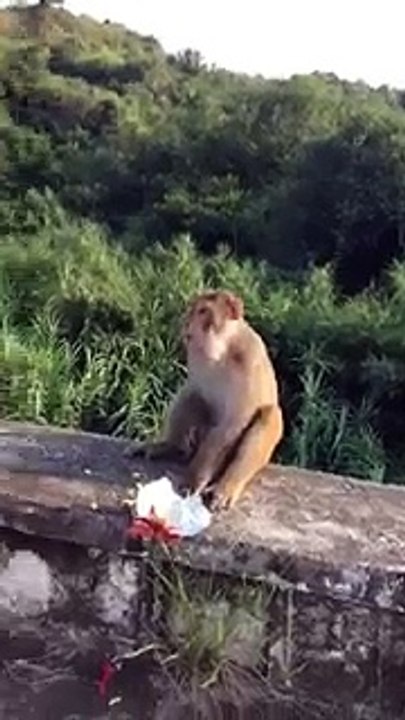VID-20150820-WA0010