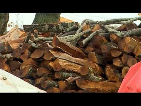 BANKA BOTERORE JEP FOND 4 MILION DOLLARE PER MORATORIUMIN E PYJEVE LAJM mpg