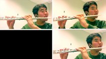 Smooth Criminal by Michael Jackson - Flute Cover