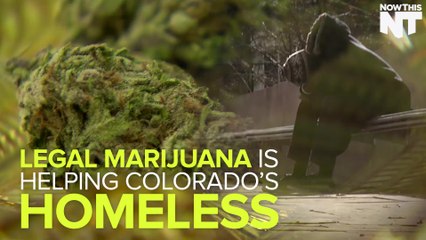 Colorado Using Marijuana Taxes To Help The Homeless