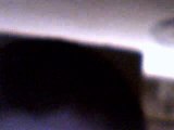 Mrscott6's webcam recorded Video - ven 14 aoû 2009 05:05:28 PDT
