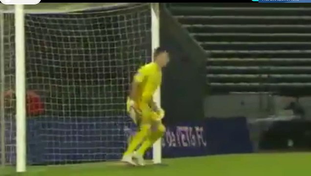 Kevin Hoggas Goal HD - Evian TG 1-1 Nimes - 13-05-2016