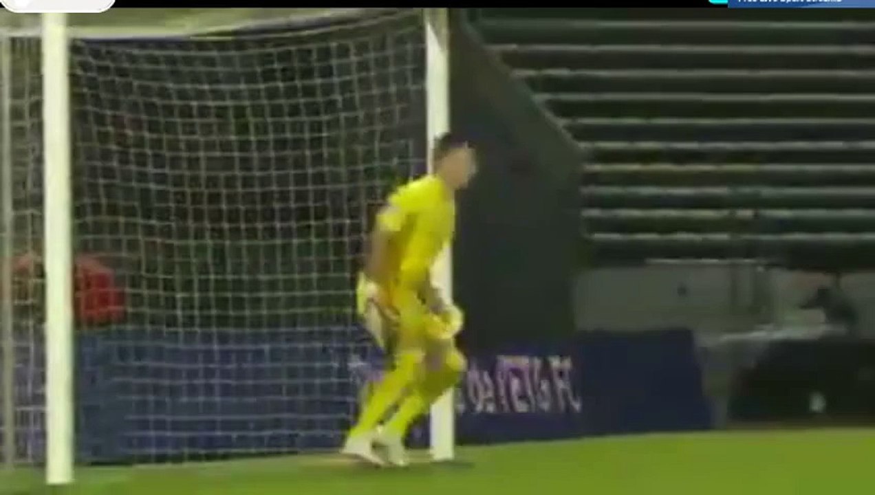 Kevin Hoggas Goal HD - Evian TG 1-1 Nimes - 13-05-2016