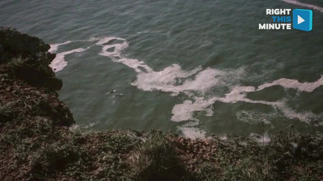 Stunning Footage Of Surfers in Portugal