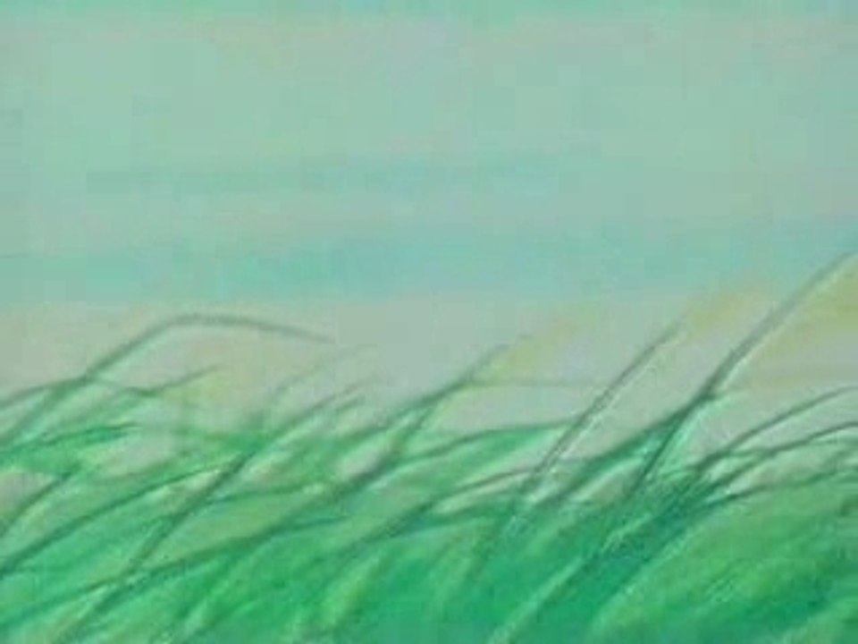 04-Sasuki part 2