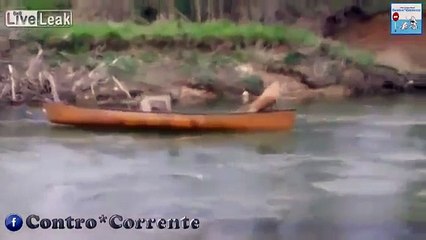 Cane salva gli Amici, il video commuove il mondo