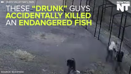 3 Men Charged After Allegedly Killing Rare Fish While On ‘Drunken Rampage’