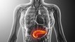 Pancreas: the two hormones it produces named insulin and glucagon and how they keep your blood sugar level balanced