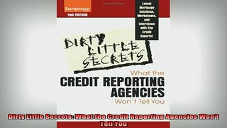 READ book  Dirty Little Secrets What the Credit Reporting Agencies Wont Tell You Full EBook