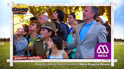 91 Avance  Pobre Gallo