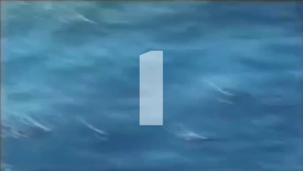 Top 5 Horrific Shark Attack Footage Caught On Tape 2016