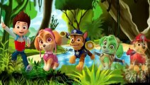 Paw Patrol Cartoon Finger Family Nursery Rhymes Paw Patrol F-1