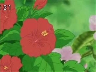 1000 words orchestra version