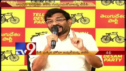 BJP says No Special status for AP