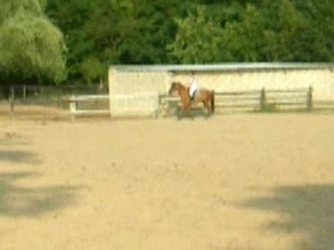 reprise dressage galop 4 aurore et Spirit