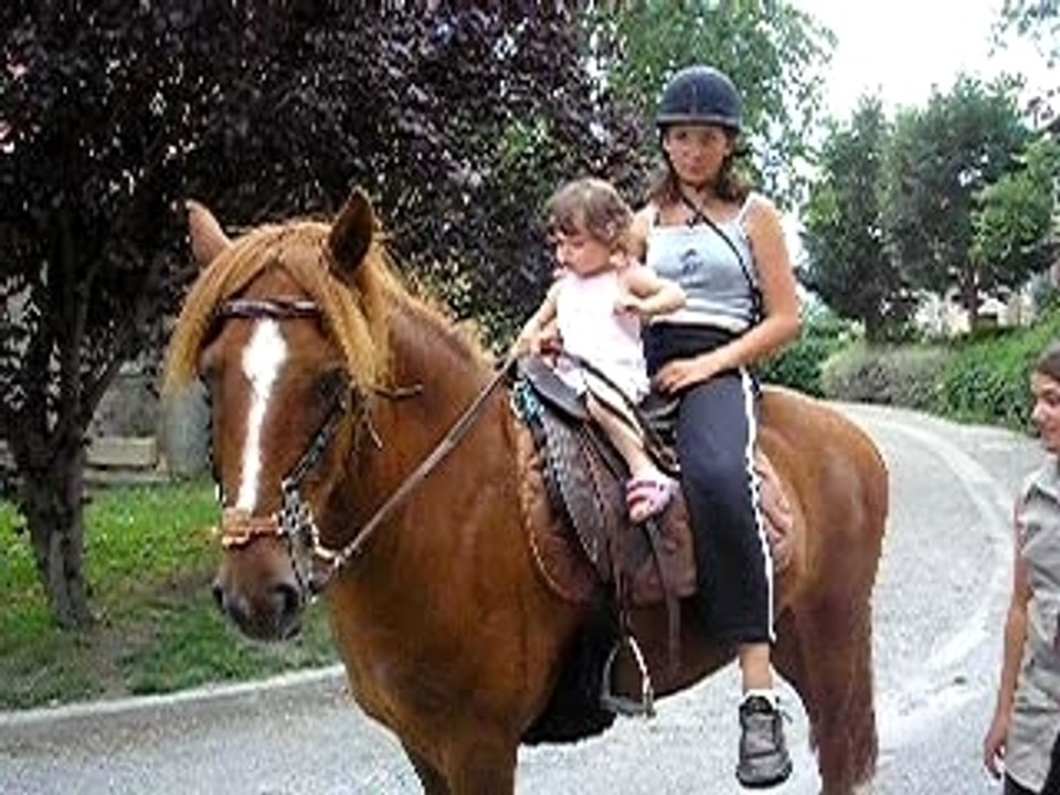 Loane cheval 290607 n1