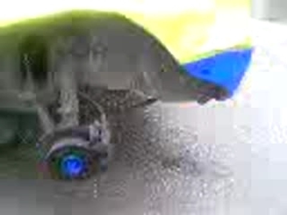 Video000082
