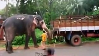 Latest Indian Funny Videos Compilation 2015 - Indian Whatsapp Videos - Videos De Risa 2015 (4)