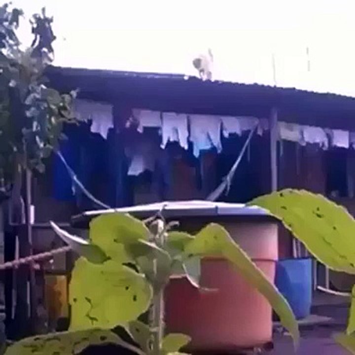 Latest Indian Funny Videos Compilation 2016 - Indian Whatsapp Videos - Video (3)